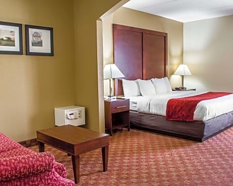 1 King Bed, Suite, Nonsmoking