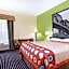 Super 8 by Wyndham Chattanooga/Hamilton Place
