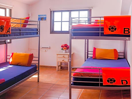 Bed in 4-Bed Mixed Dormitory Room with Bathroom
