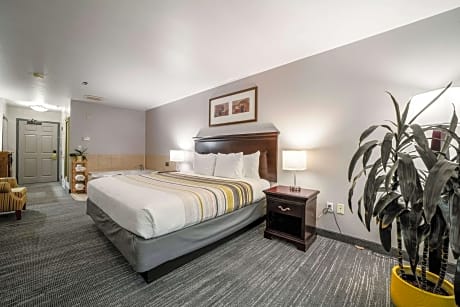 1 King Bed, Suite, Nonsmoking