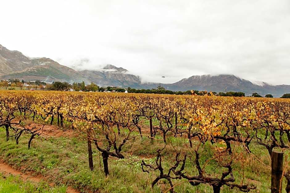 Basse Provence Country House