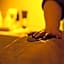 Astrea Wellness & Spa