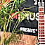 ibis Sens