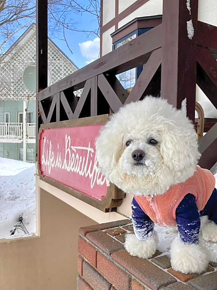 Appi Life is Beautiful