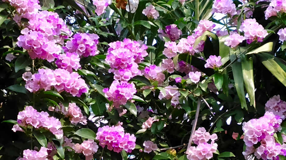 Sandy Serviced Apartment