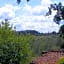 A Casa di Lizzy B&B