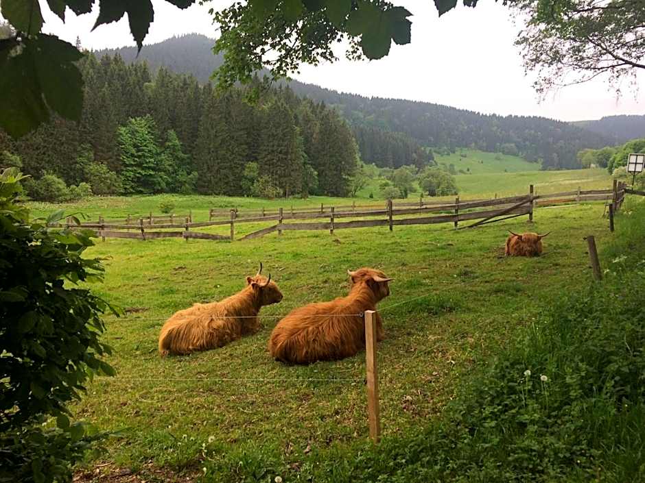 Appartements und Ferienhaus Gasthof Kanzlersgrund