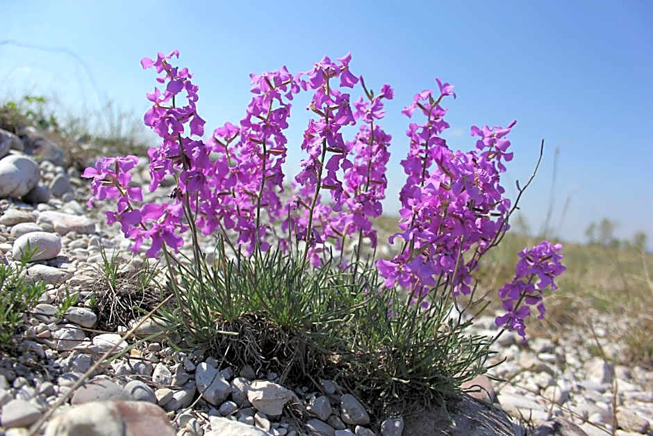 Albergo Diffuso Magredi