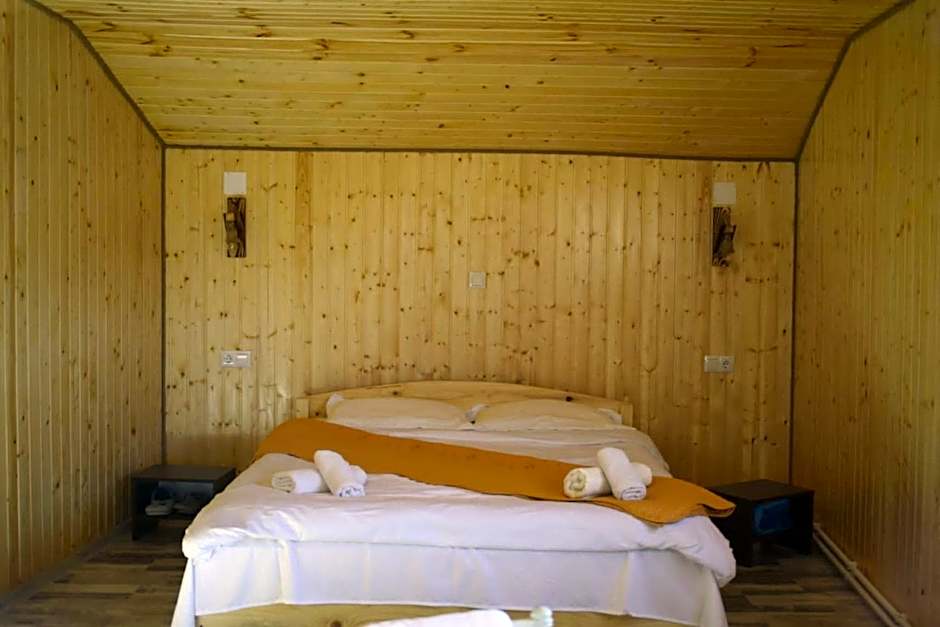 Cabana doi mesteceni