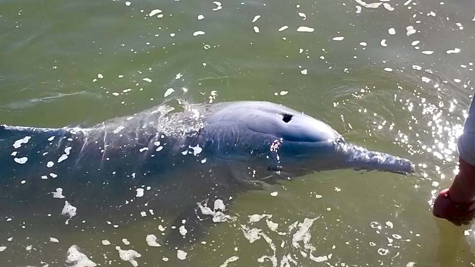 Tin Can Bay's Sleepy Lagoon Motel