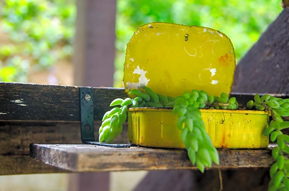 Sitio Recanto Primata