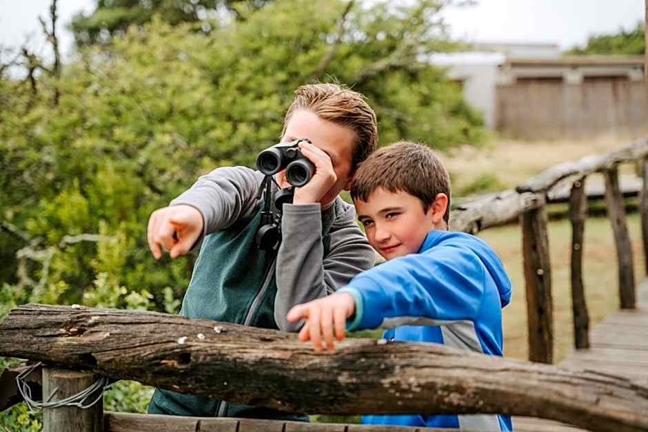 Hlosi Game Lodge - Amakhala Game Reserve