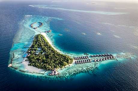 Coco Bodu Hithi