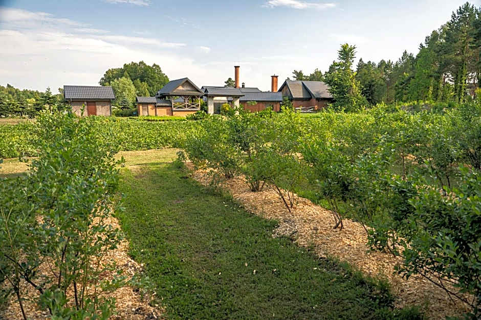 JK Dwór Grabowszczyzna