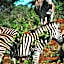 Honeyguide Tented Safari Camp - Khoka Moya