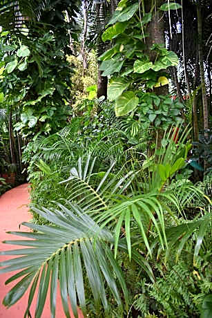 Oskar's Rain Forest Retreat