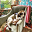 The Mount B&B