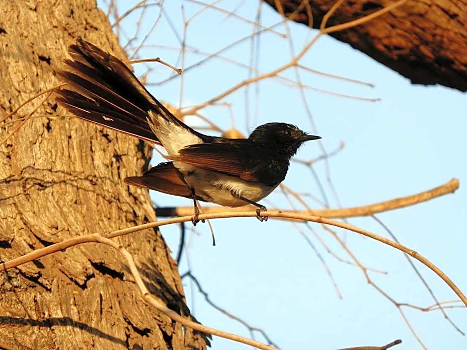 Jurien Bay Tourist Park