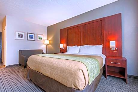 1 King Bed, Nonsmoking