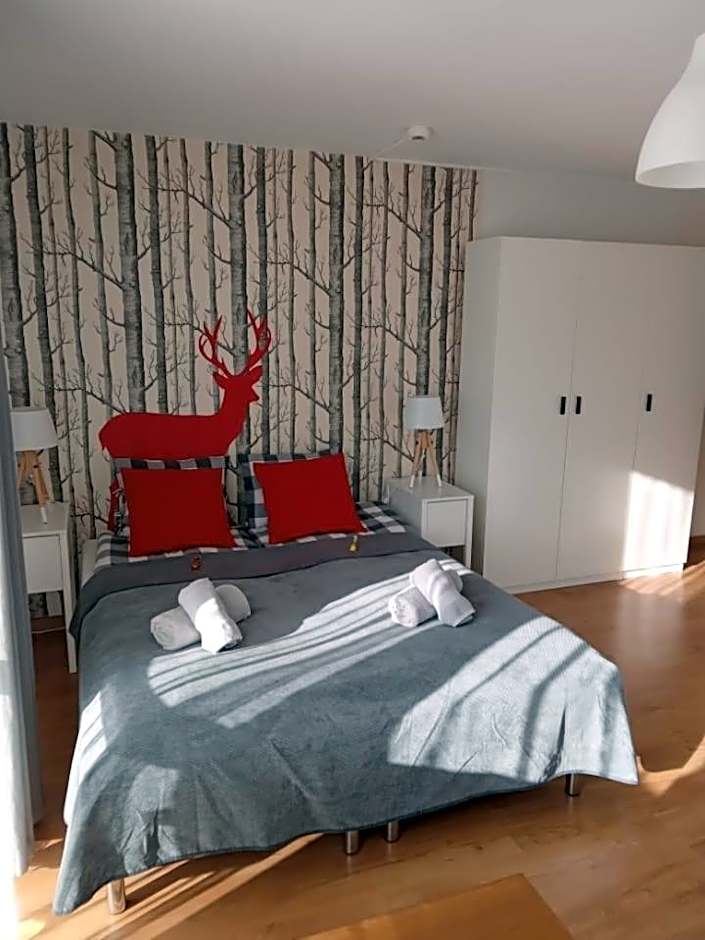 Willa Wiesia Rabka Zdrój