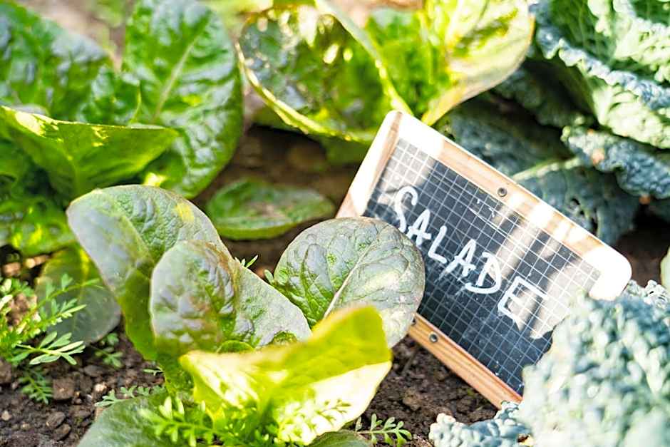 Sud Hôtel Restaurant