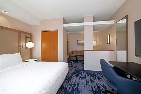 Deluxe King Suite with Sofa Bed