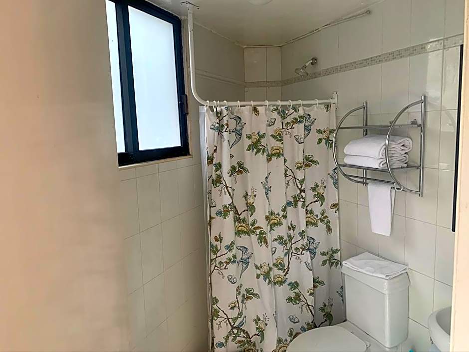 Satya Suites & Portal San Angel Flats