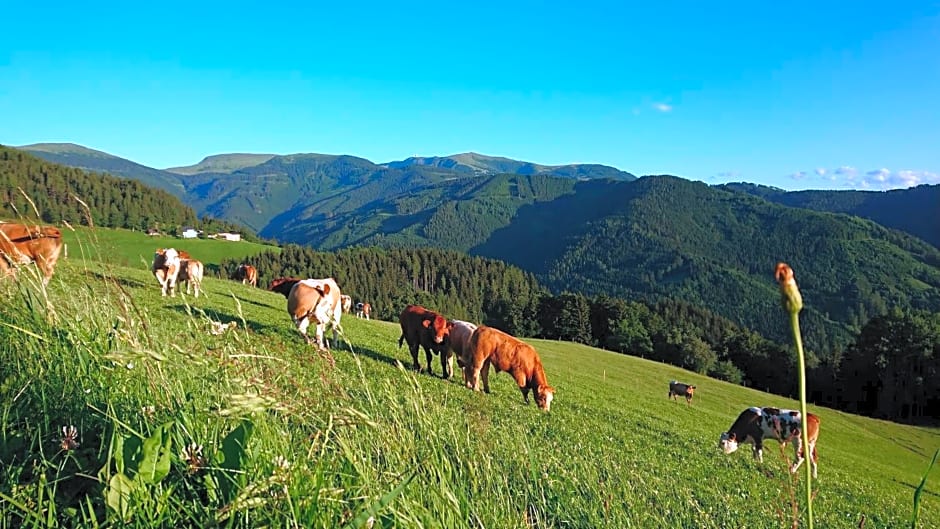 Ferienhaus Lärchenhütte