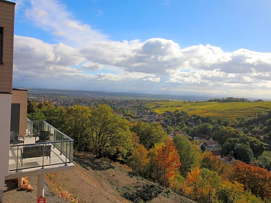 Terrasses d'Alsace