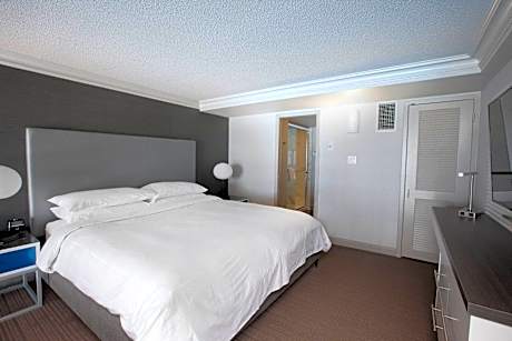 1 Bedroom Bi-level Suite, In Loft: 1 King, Sofa bed, Falls view, High floor