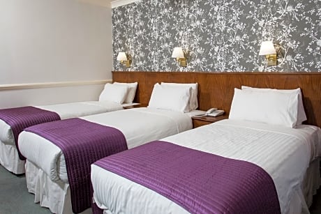 Crown Single Double Room (3 people)
