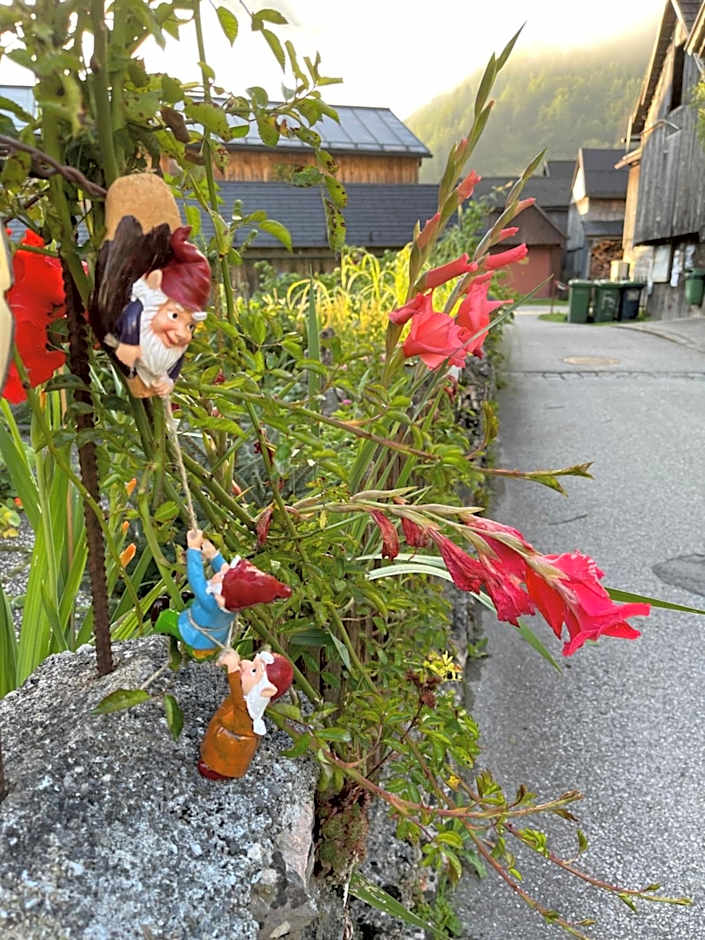 Fenix Hall Boutique Hotel Hallstatt