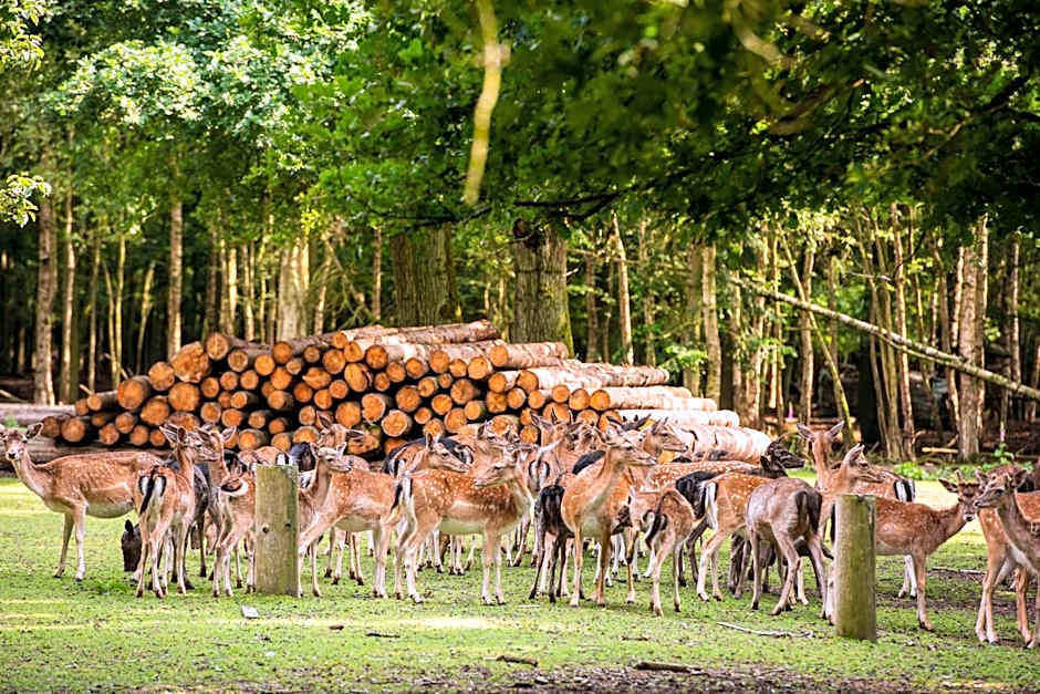 VILA VITA Burghotel Dinklage