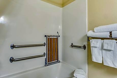 Suite, 1 Bedroom (1 Queen Bed and 1 Double Sofa Bed)