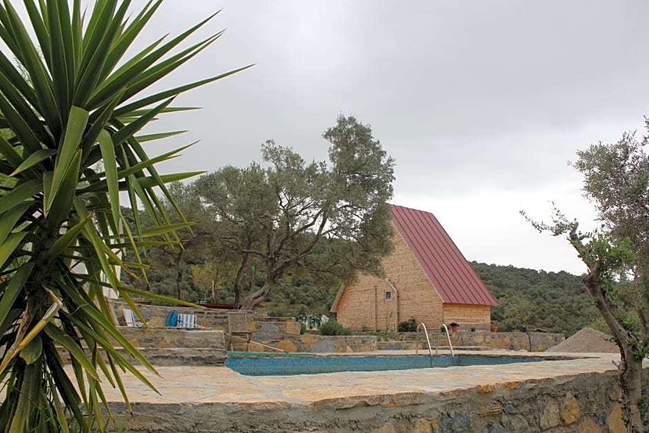 olive garden retreat