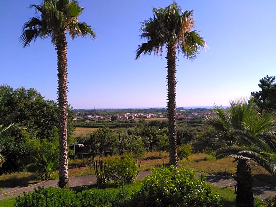 B&B Villa Le Palme Scalea