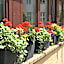 Hotel Aquino Berlin