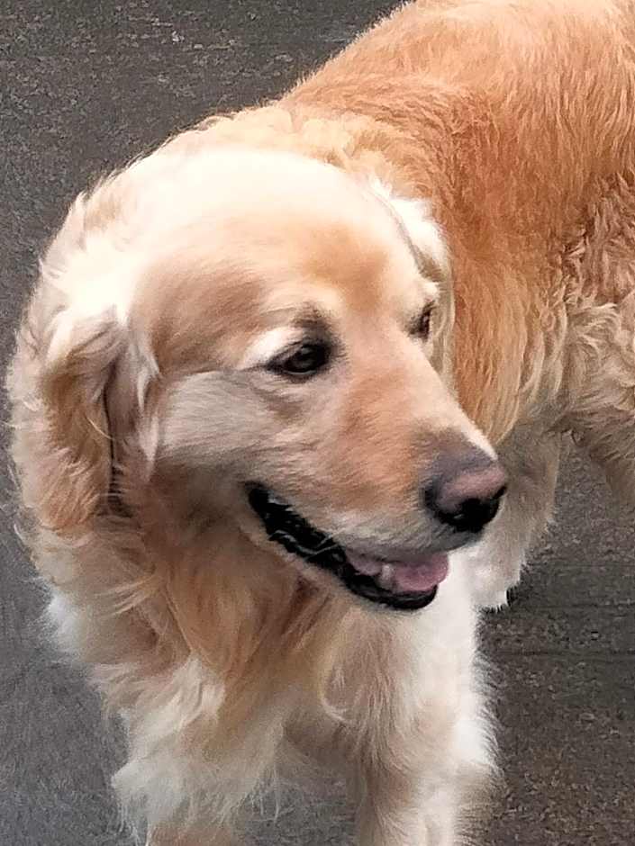 Larkfield House B&B, Ballycasheen Kerry V93 WD51