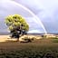 Lush Pastures