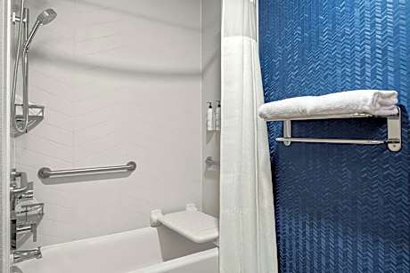 Suite, 1 King Bed with Sofa bed (1 King Bed and 1 Double Sofa Bed)