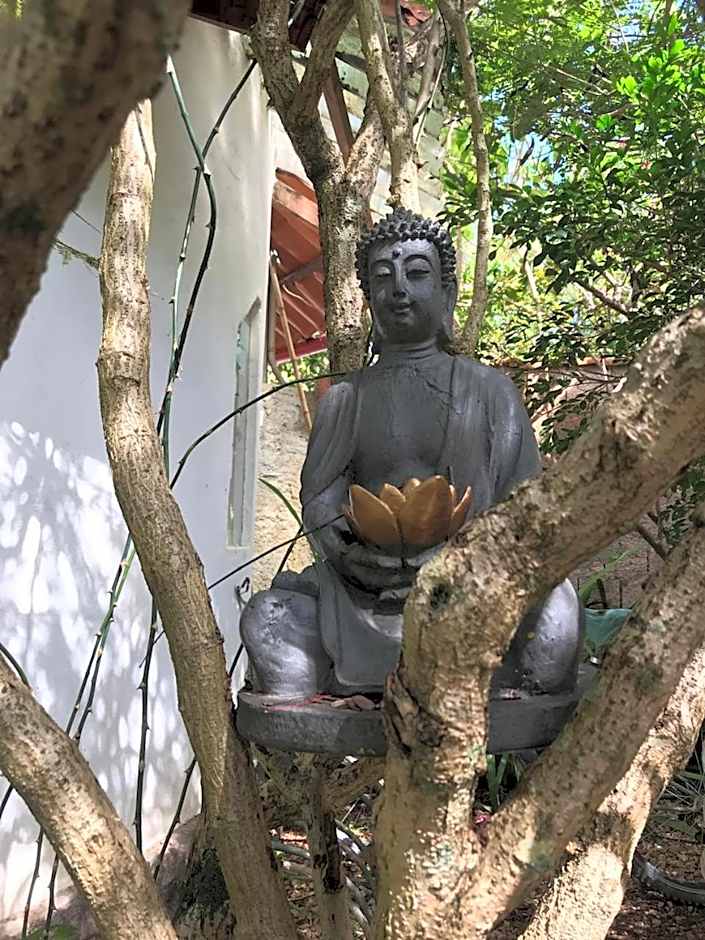 Buddy's Hostel & Pousada Alto Paraiso