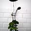 Liedjiesbos Urban Olive Farm Accommodation