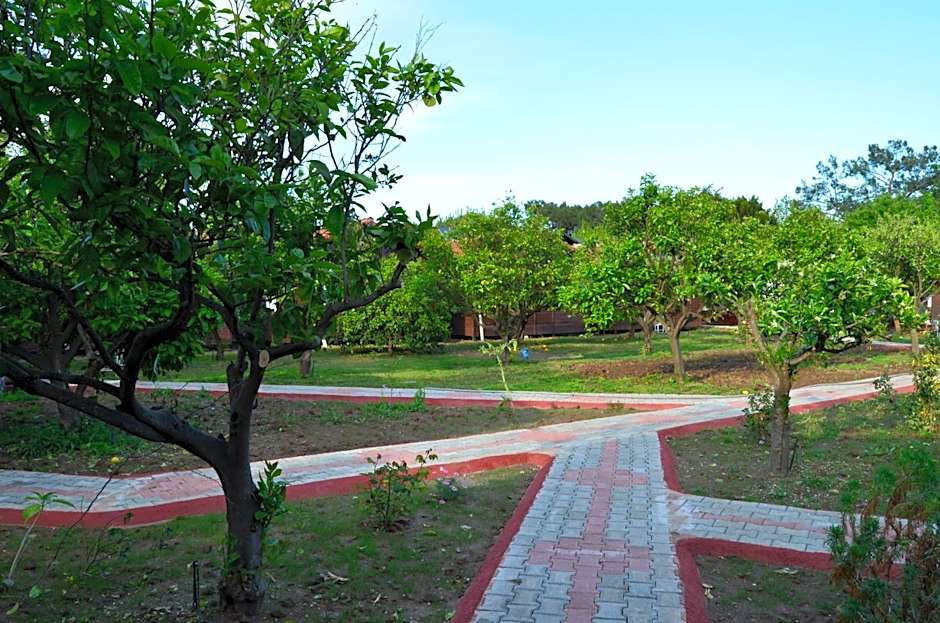 Baris Pension & Bungalows