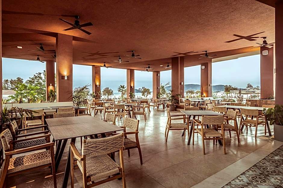 Domes Aulus Zante, Autograph Collection
