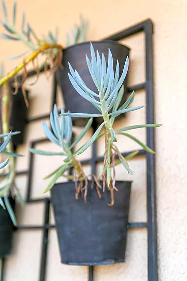 Anaheim Discovery Inn And Suites