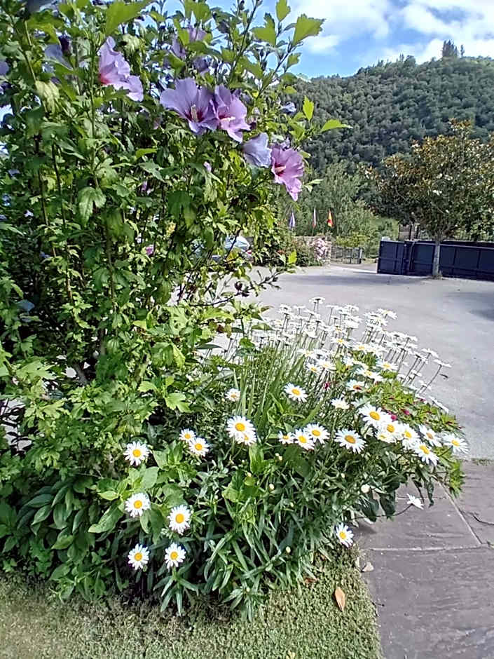 Picos de Europa Suites and Rooms