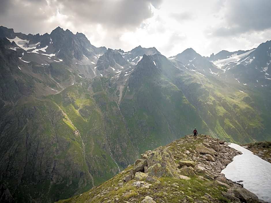 Rosa Canina Superior