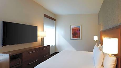 Accessible Suite King Bed (plus Sofa Bed) Rollin Shower