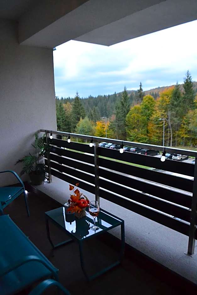 Mountain Nest in Silver Mountain Poiana Brasov