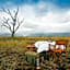 Mpeti Lodge